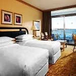 酒店 Swissotel And 5*