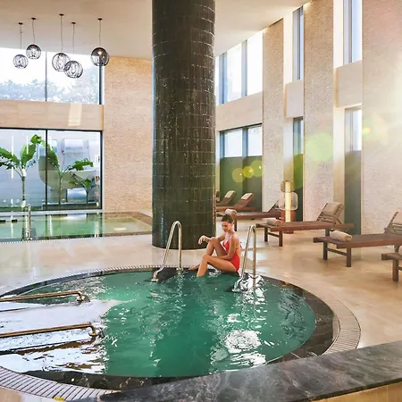 Swissotel And Hotell 5*